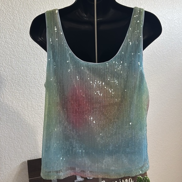 Rachel Zoe Sequin Sleeveless Multicolor Top Size L - Picture 4 of 6